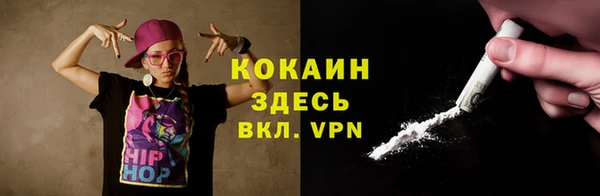 стафф Россошь