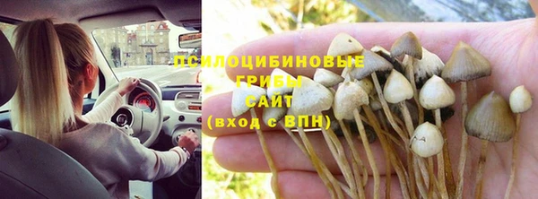гашик Рославль